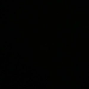 Meet your Posher, Shaun